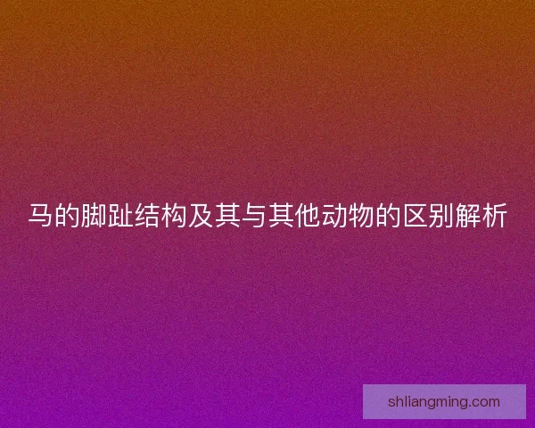 马的脚趾结构及其与其他动物的区别解析