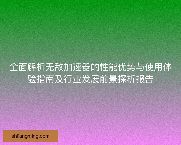 全面解析无敌加速器的性能优势与使用体验指南及行业发展前景探析报告