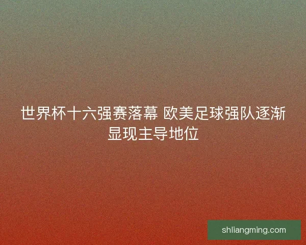世界杯十六强赛落幕 欧美足球强队逐渐显现主导地位
