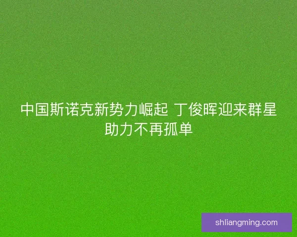 中国斯诺克新势力崛起 丁俊晖迎来群星助力不再孤单 中国斯诺克新势力崛起 丁俊晖迎来群星助力不再孤单